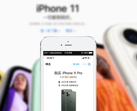 Apple直送旗艦店-支付寶電商小程序-一網天行項目案例